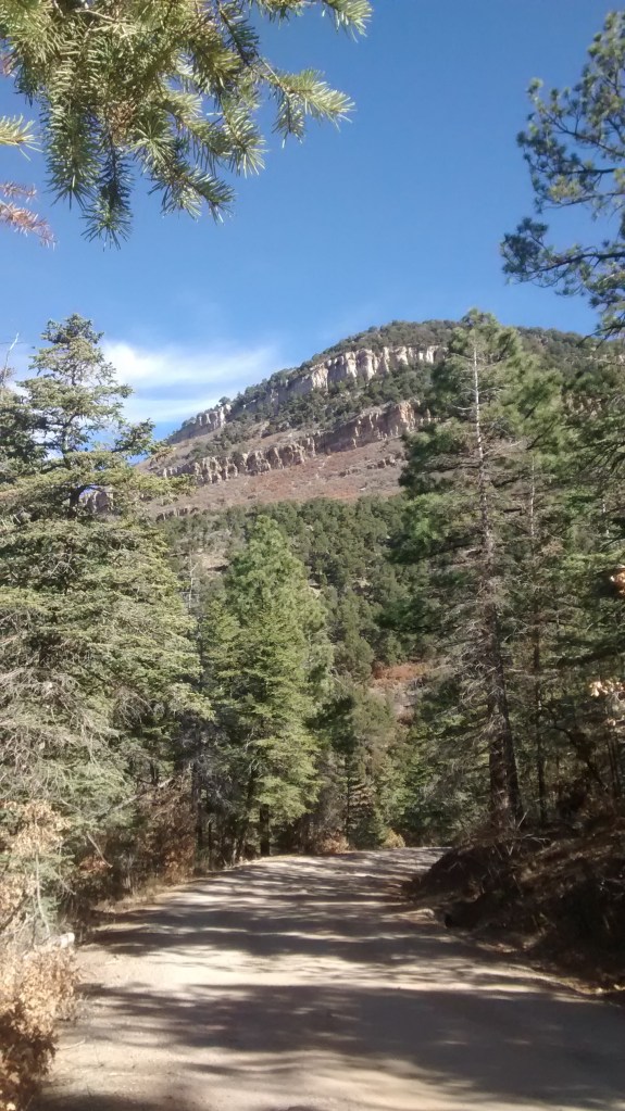 bending-road-air-suspended-needles