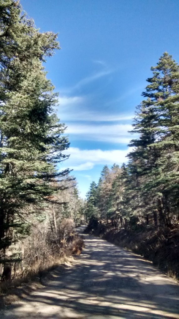 following-where-the-road-leads