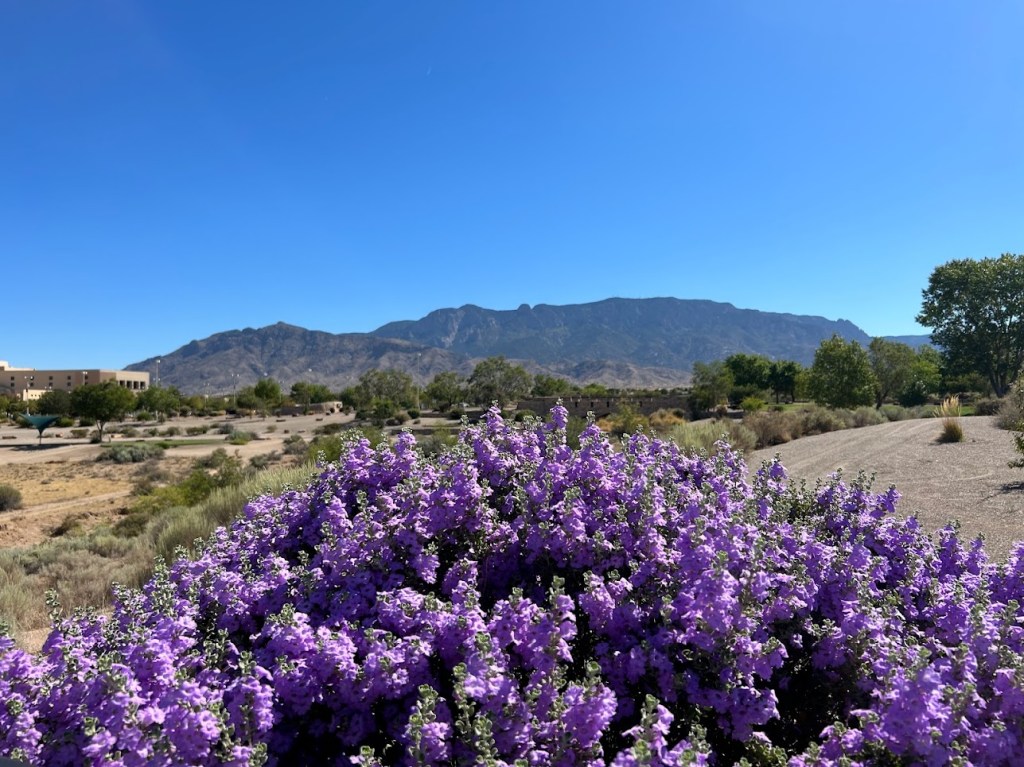 New Mexico walking and cycling news, including safety meeting, Sept. 11,&nbsp;1-2:30